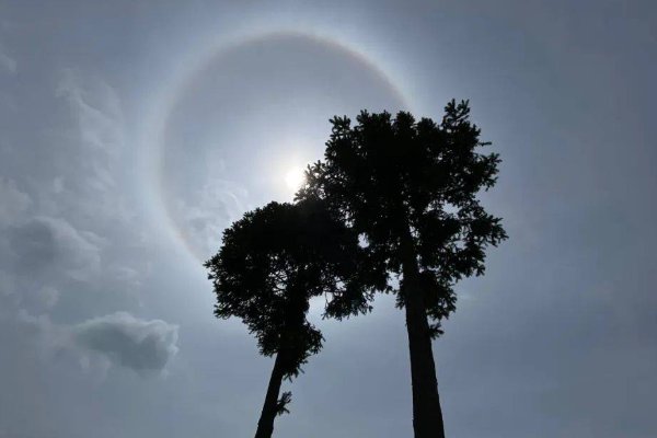 为什么日晕代表着不详的预兆？