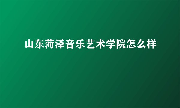山东菏泽音乐艺术学院怎么样