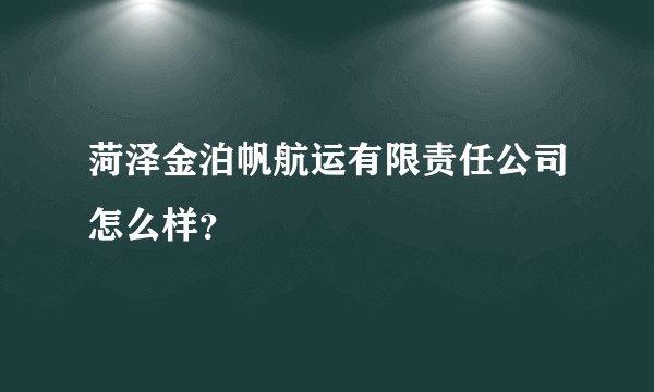 菏泽金泊帆航运有限责任公司怎么样？