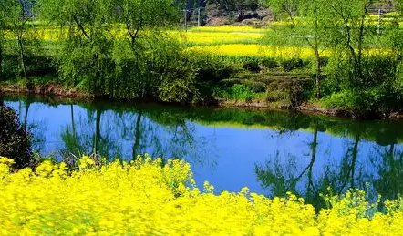 春日古诗的诗意