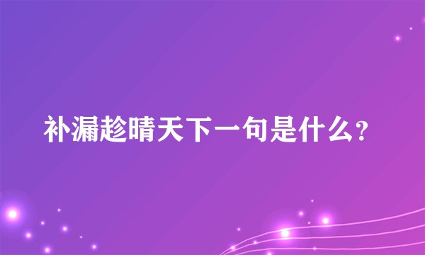补漏趁晴天下一句是什么？