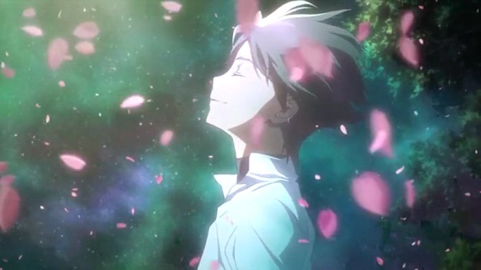 一个男孩站着周围飘落着花瓣是什么动漫?