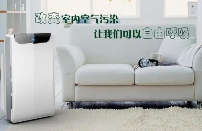 室内空气与健康的作文怎么写