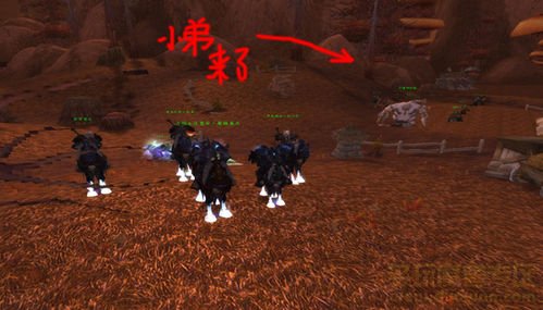 巫妖王的命令任务怎么完成？