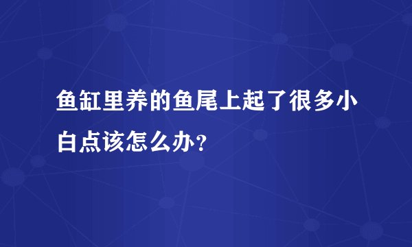 鱼缸里养的鱼尾上起了很多小白点该怎么办？