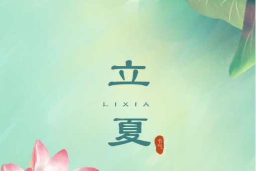 立夏看夏指的是什么意思