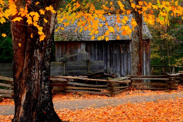 2023年立秋是几点几分几秒