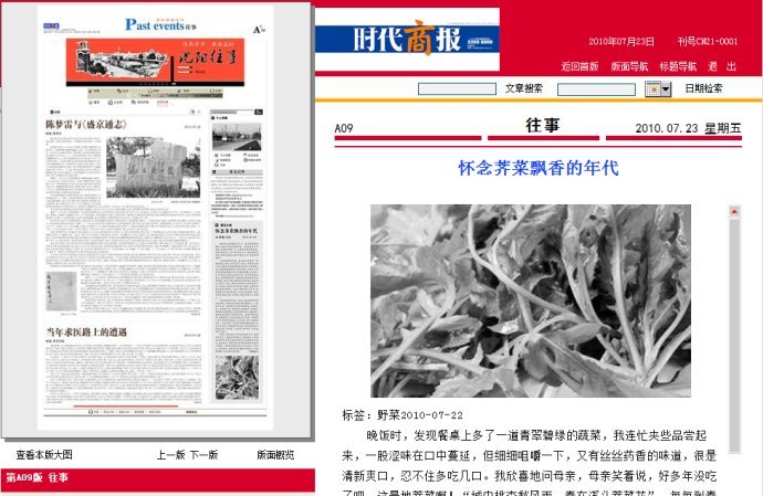 时代商报的历史沿革