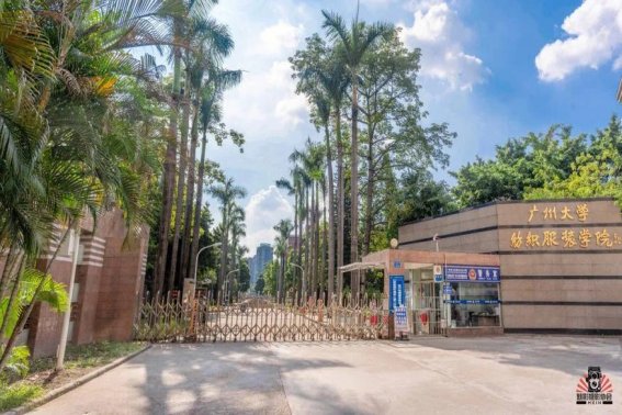 广州大学纺织学院是本科吗