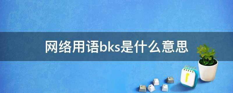 bks是什么意思？