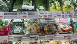 岸田的支持率已跌破四成，创上任以来最低，他的支持率为什么这么低呢？