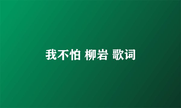 我不怕 柳岩 歌词