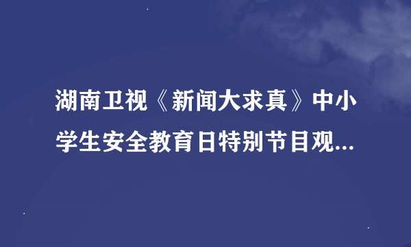 湖南卫视《新闻大求真》中小学生安全教育日特别节目观后感400字