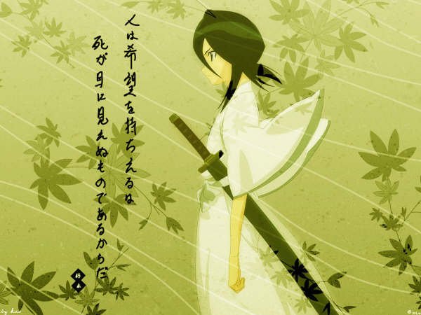 请告诉我有关女主角拿日本刀保护男主角的动漫。