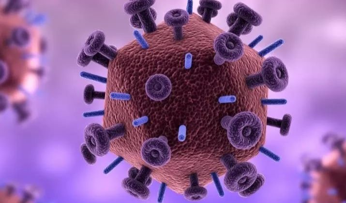 全球已发现约80例猴痘病例，目前世卫组织对这种疾病有何认知？