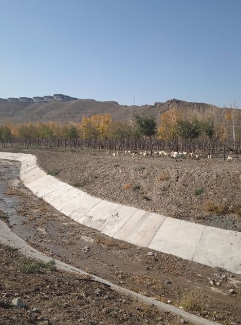 荒野中的羊圈，都市边缘的牧羊人，是什么样的呢？