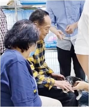 袁隆平初见袁花花，满眼宠溺“摸头杀”，袁老养猫的原因是什么？