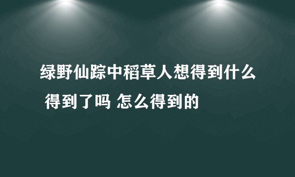 绿野仙踪中稻草人想得到什么 得到了吗 怎么得到的