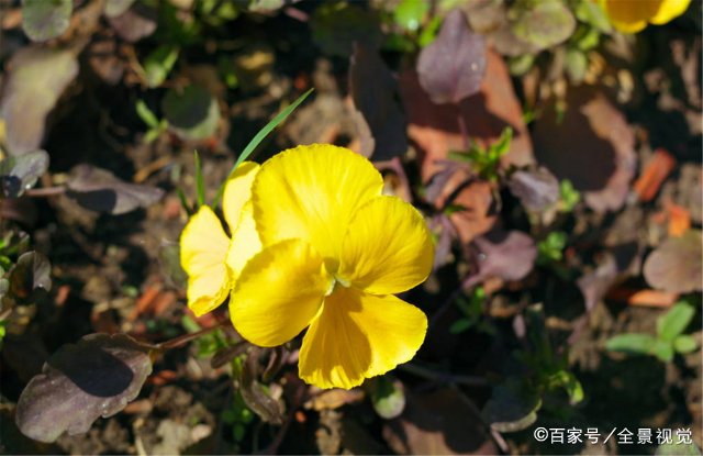 人以群分,物以类聚,什么意思?