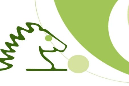 宝山区最好的幼儿园是哪几家？