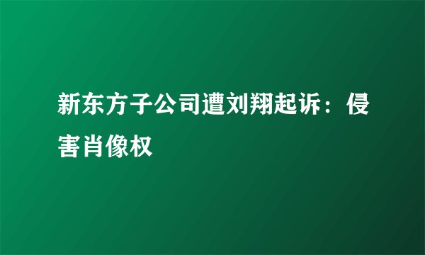 新东方子公司遭刘翔起诉：侵害肖像权