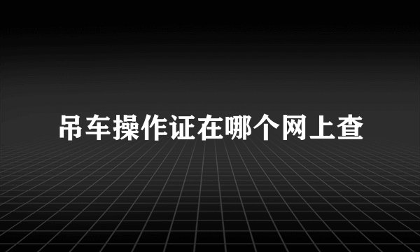 吊车操作证在哪个网上查