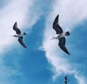 god knows什么意思