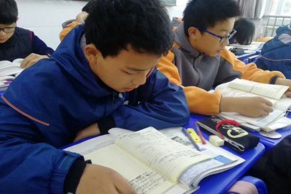 形式逻辑的经典范例是( )。