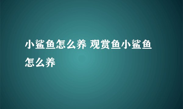 小鲨鱼怎么养 观赏鱼小鲨鱼怎么养