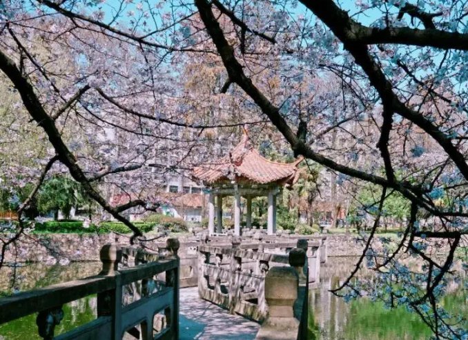 武汉大学有几个门