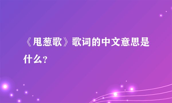 《甩葱歌》歌词的中文意思是什么？