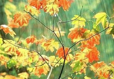 照样子，写句子，秋天的雨，是一把钥匙。