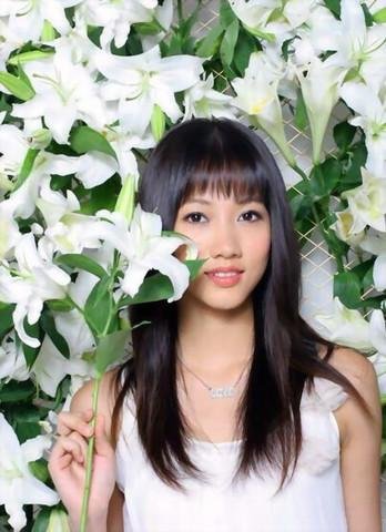 金苹果组合的简介