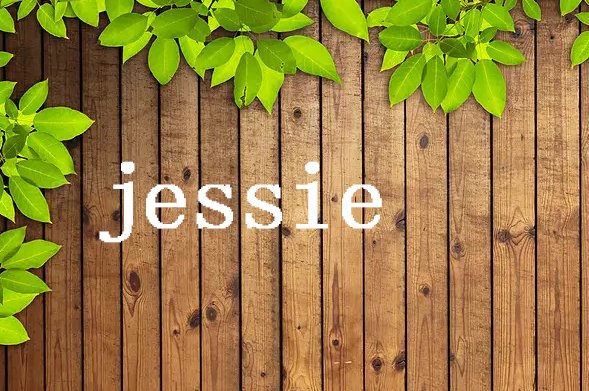 jessie的中文翻译是什么？