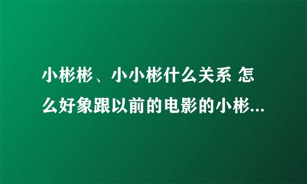 小彬彬、小小彬什么关系 怎么好象跟以前的电影的小彬彬那么像