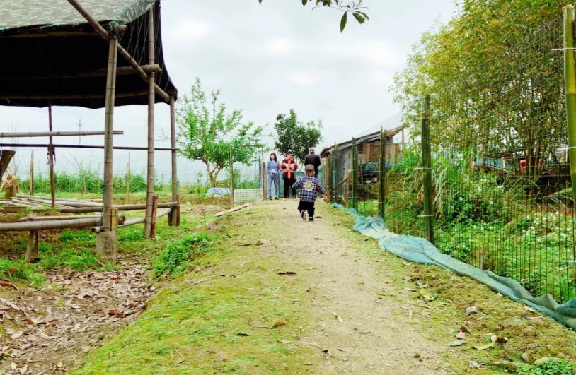 家庭农场的理论