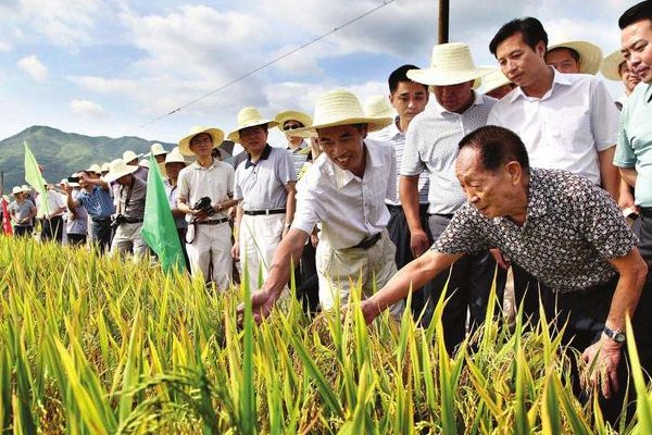 2019年中国的重大科技创新成果