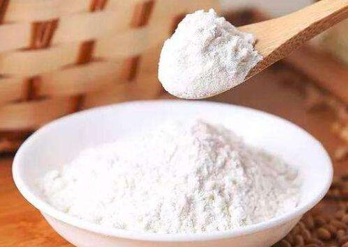 为什么有些猫一年四季都要叫春?