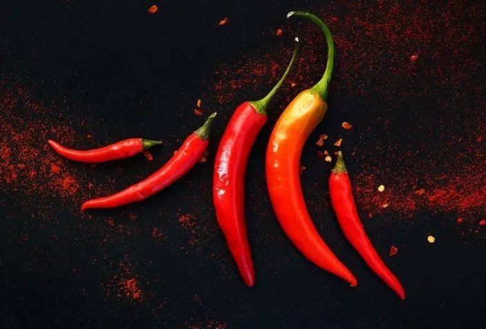 2023年8月6日蚂蚁庄园答案是什么