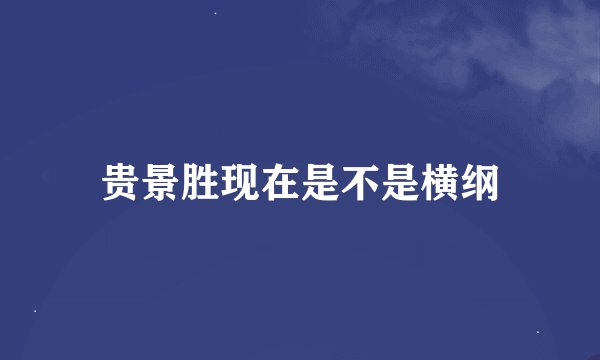 贵景胜现在是不是横纲