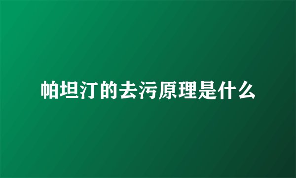 帕坦汀的去污原理是什么