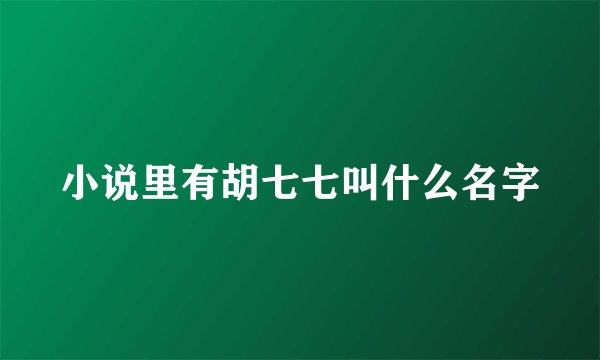 小说里有胡七七叫什么名字