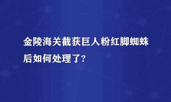 金陵海关截获巨人粉红脚蜘蛛后如何处理了?