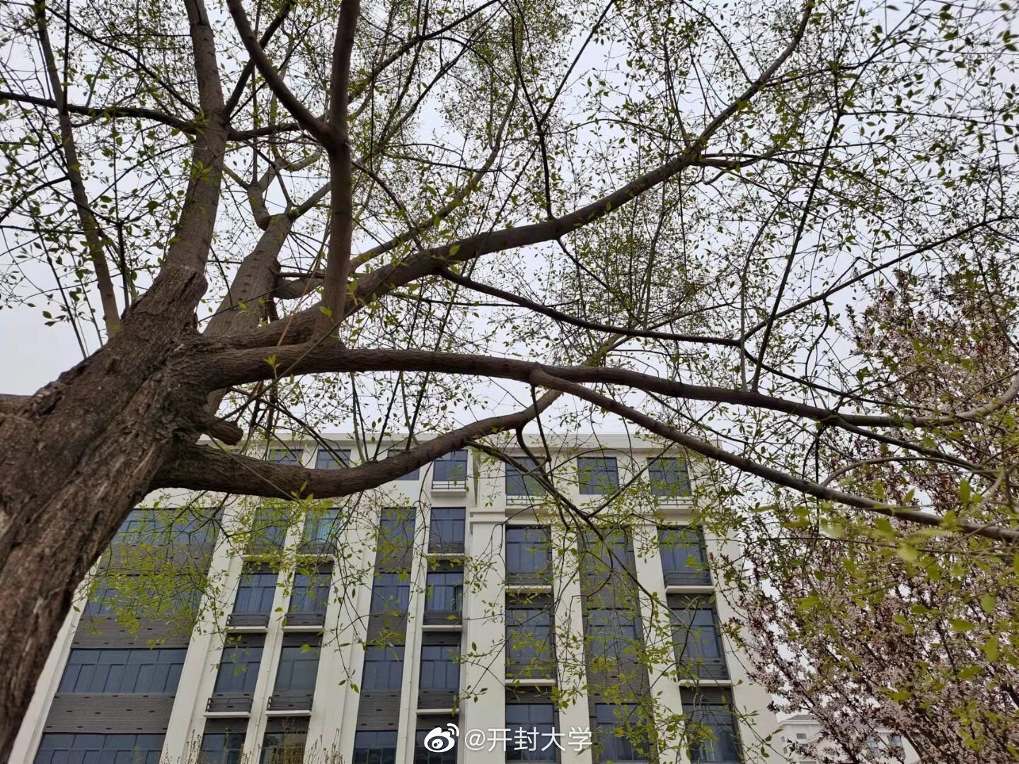 开封大学好不好，宿舍怎么样？