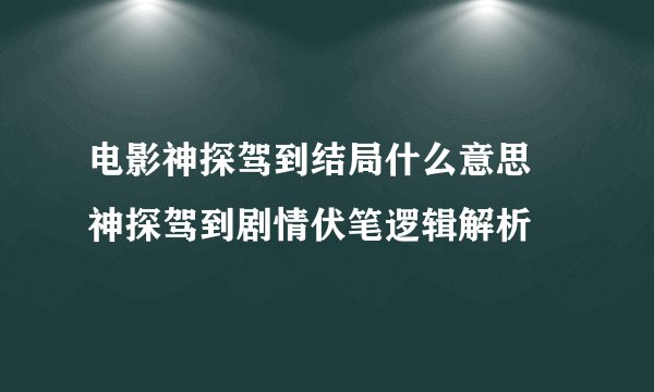 电影神探驾到结局什么意思 神探驾到剧情伏笔逻辑解析
