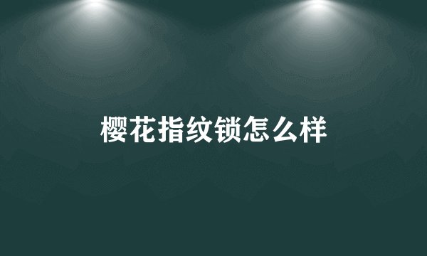 樱花指纹锁怎么样