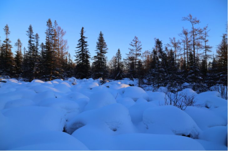尤其的意思和造句