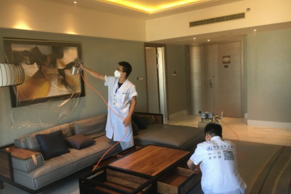 除甲醛公司哪家好