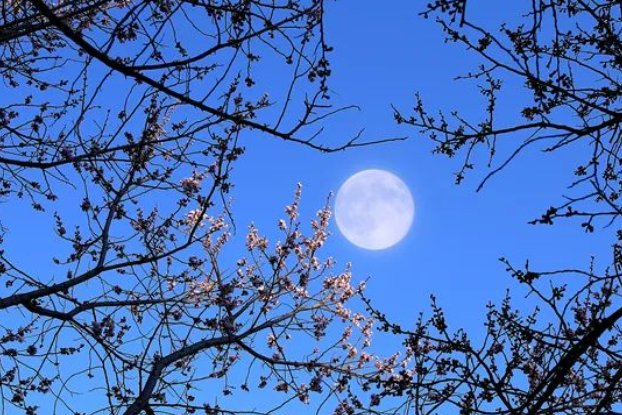 十五的月亮十五圆祝福语