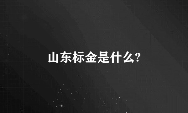 山东标金是什么?